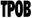 TPOB USA logo